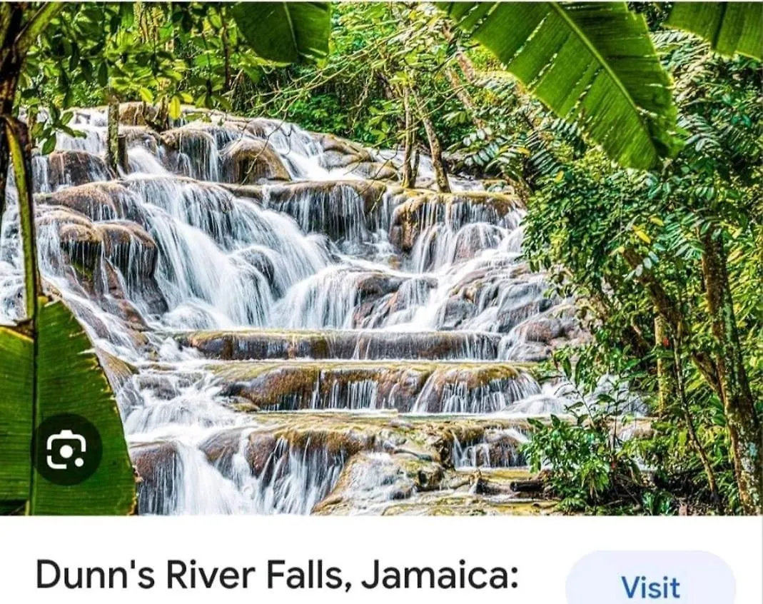 Royal Palm Luxury Villas Ocho Rios